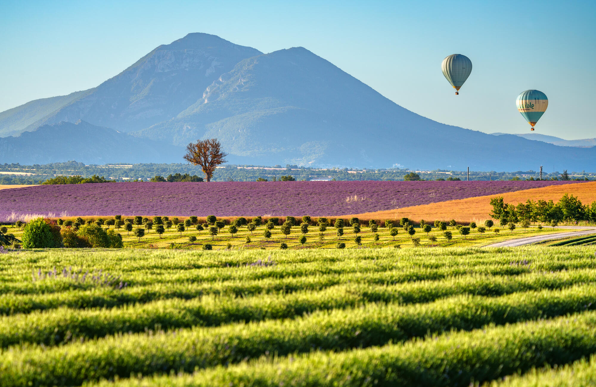 Fotoexpedice Francie - za krásami Provence